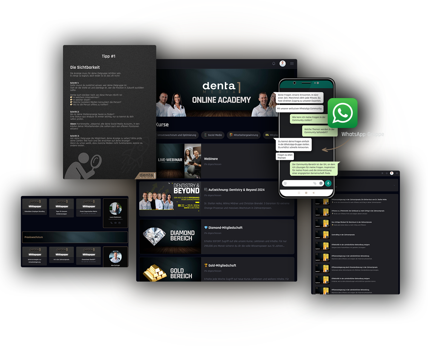 Denta1 Academy